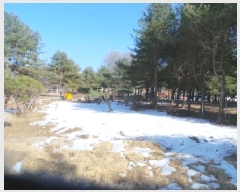  2025Ÿ50441  õ ź õ 705-4      (1)