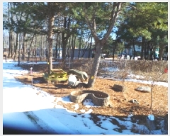  2025Ÿ50441  õ ź õ 705-4      (1)