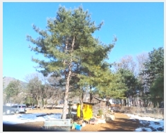  2025Ÿ50441  õ ź õ 705-4      (1)