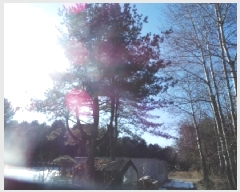  2025Ÿ50441  õ ź õ 705-4      (1)