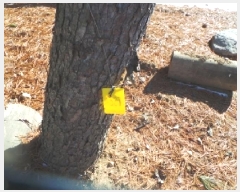  2025Ÿ50441  õ ź õ 705-4      (1)