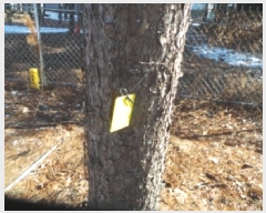  2025Ÿ50441  õ ź õ 705-4      (1)