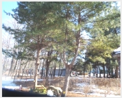  2025Ÿ50441  õ ź õ 705-4      (1)