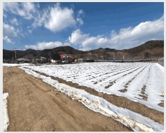  2025Ÿ��50489 ���� ȫõ�� ���͹̸� ������ 583-1      ����(��1)���