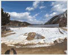  2025Ÿ��50489 ���� ȫõ�� ���͹̸� ������ 583-1      ����(��1)���