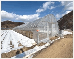  2025Ÿ��50489 ���� ȫõ�� ���͹̸� ������ 583-1      ����(��1)���