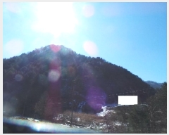  2025Ÿ��50502  �Ӿ߰��