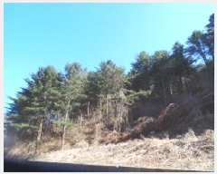  2025Ÿ��50502  �Ӿ߰��