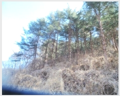  2025Ÿ��50502  �Ӿ߰��