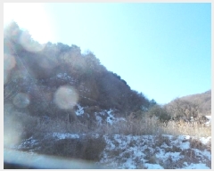  2025Ÿ��50502  �Ӿ߰��