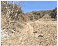  2025Ÿ50534  ȫõ ̸ ;߸ 277-1      (1)