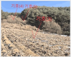  2025Ÿ50534  ȫõ ̸ ;߸ 277-1      (1)