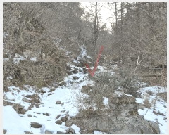  2025Ÿ50534  ȫõ ̸ ;߸ 277-1      (1)