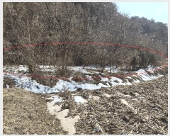  2025Ÿ50534  ȫõ ̸ ;߸ 277-1      (1)