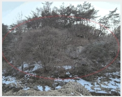  2025Ÿ50534  ȫõ ̸ ;߸ 277-1      (1)