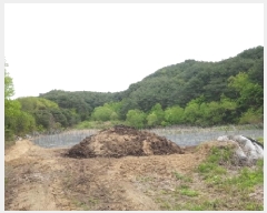  2025Ÿ50534  ȫõ ̸ ;߸ 277-1      (1)