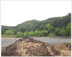  2025Ÿ50534  ȫõ ̸ ;߸ 277-1      (1)