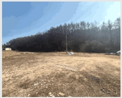  2025Ÿ50562  ȫõ ȭ̸  446-12      ()