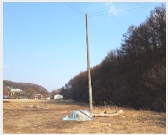  2025Ÿ50562  ȫõ ȭ̸  446-12      ()