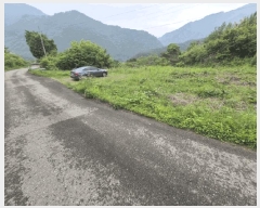  2025Ÿ50570  ȫõ   239      (1)