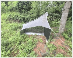  2025Ÿ50570  ȫõ   239      (1)