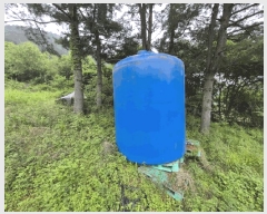  2025Ÿ50570  ȫõ   239      (1)