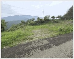  2025Ÿ50570  ȫõ   239      (1)