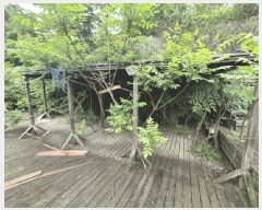  2025Ÿ50570  ȫõ   239      (1)