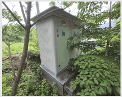  2025Ÿ50570  ȫõ   239      (1)