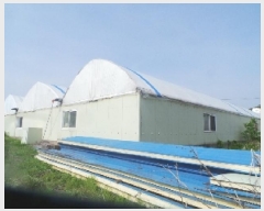  2025Ÿ50574  õ  и 748-2      (1)