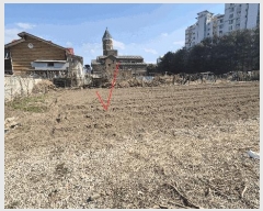  2025Ÿ��50578  �����