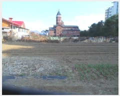  2025Ÿ��50578  �����