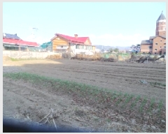  2025Ÿ��50578  �����