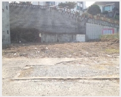  2025Ÿ50598  õ  ̸ 251-4      ()