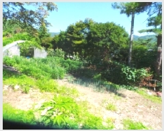  2025Ÿ��50618 ���� ��õ�� ���� ������ 125-3      ����(�Ӿ�)���