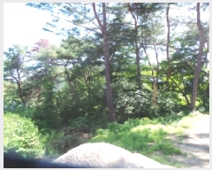  2025Ÿ��50618 ���� ��õ�� ���� ������ 125-3      ����(�Ӿ�)���