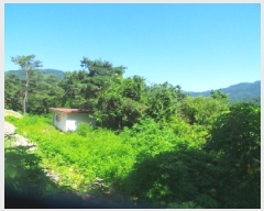  2025Ÿ��50618 ���� ��õ�� ���� ������ 125-3      ����(�Ӿ�)���