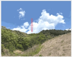  2025Ÿ50637  õ  ߻긮 32-32      (Ӿ)