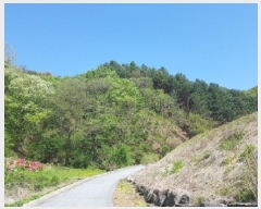  2025Ÿ50637  õ  ߻긮 32-32      (Ӿ)