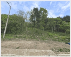  2025Ÿ50645  ȭõ 系  1127-1      (1)