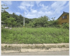  2025Ÿ50645  ȭõ 系  1127-1      (1)