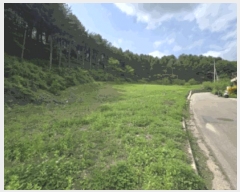  2025Ÿ50645  ȭõ 系  1127-1      (1)