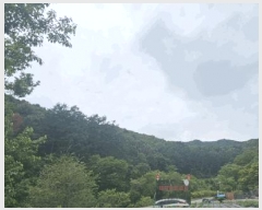  2025Ÿ��50661  �Ӿ߰��