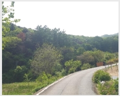  2025Ÿ��50661  �Ӿ߰��