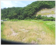  2025Ÿ��50697 ���� ��õ�� ���� �Ⱥ��� 242-1      ����(��1)���