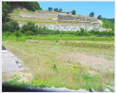  2025Ÿ��50697 ���� ��õ�� ���� �Ⱥ��� 242-1      ����(��1)���