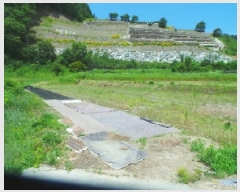  2025Ÿ��50697 ���� ��õ�� ���� �Ⱥ��� 242-1      ����(��1)���