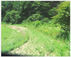  2025Ÿ��50697 ���� ��õ�� ���� �Ⱥ��� 242-1      ����(��1)���