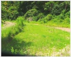  2025Ÿ��50697 ���� ��õ�� ���� �Ⱥ��� 242-1      ����(��1)���