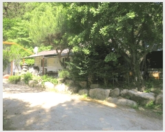  2025Ÿ��50711  �Ӿ߰��